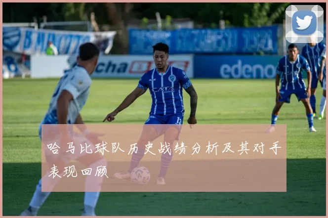 哈马比球队历史战绩分析及其对手表现回顾