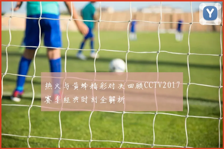 热火与黄蜂精彩对决回顾CCTV2017赛季经典时刻全解析