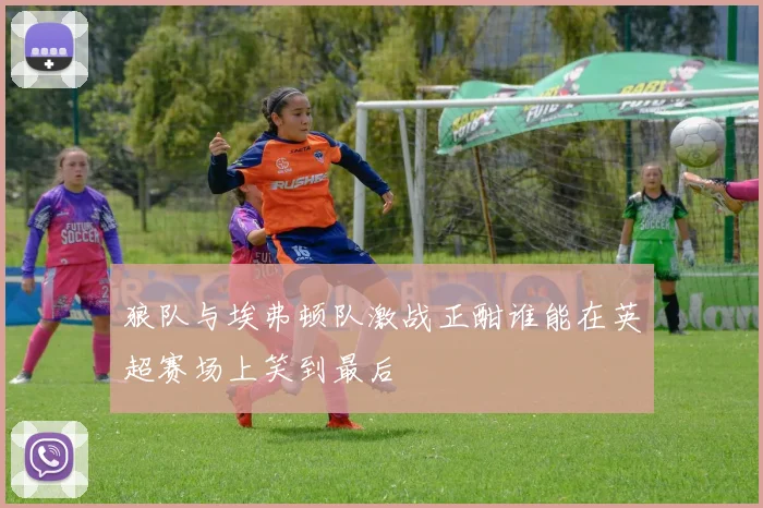 狼队与埃弗顿队激战正酣谁能在英超赛场上笑到最后