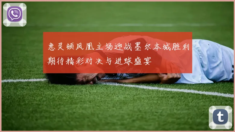 惠灵顿凤凰主场迎战墨尔本城胜利期待精彩对决与进球盛宴