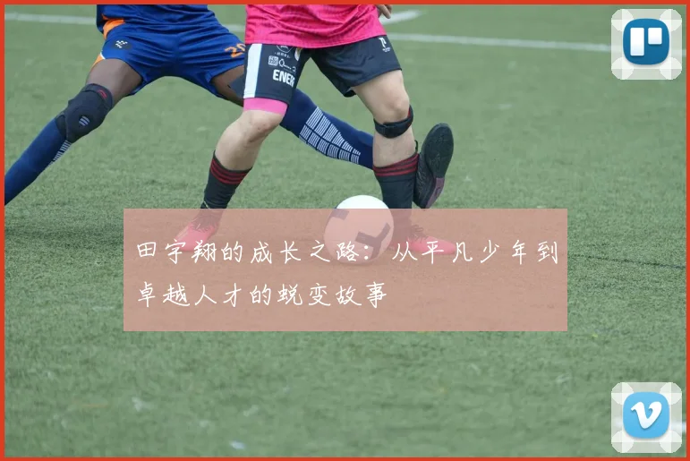 田宇翔的成长之路：从平凡少年到卓越人才的蜕变故事