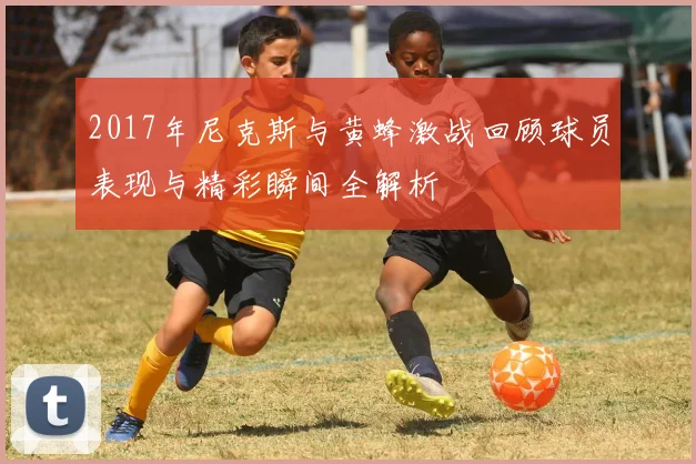 2017年尼克斯与黄蜂激战回顾球员表现与精彩瞬间全解析